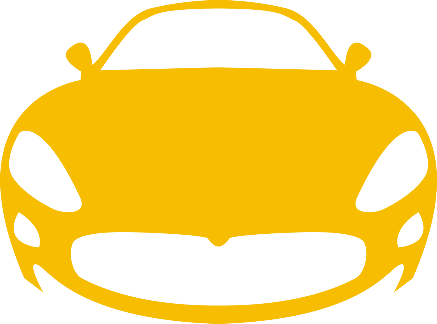 Suitable for luxury cars